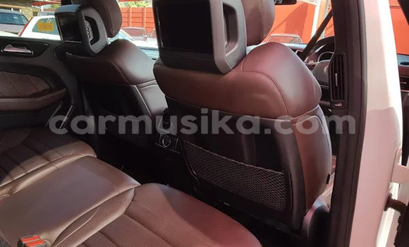 Tenga Tsaru Mercedes‒Benz AMG GLE Chena Mota in Beitbridge in Matabeleland South Tenga Tsaru Mercedes‒Benz AMG GLE Chena Mota in Beitbridge in Matabeleland South