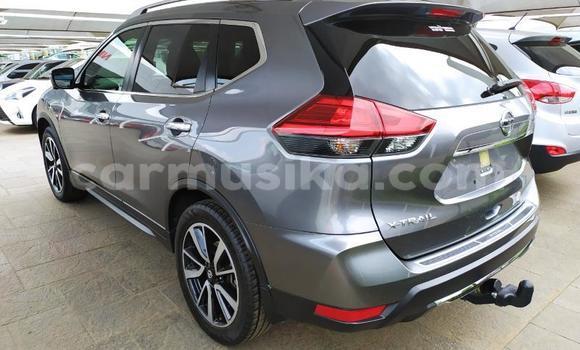 Tenga Tsaru Nissan X–Trail Sirivha Mota in Harare in Harare Tenga Tsaru Nissan X–Trail Sirivha Mota in Harare in Harare