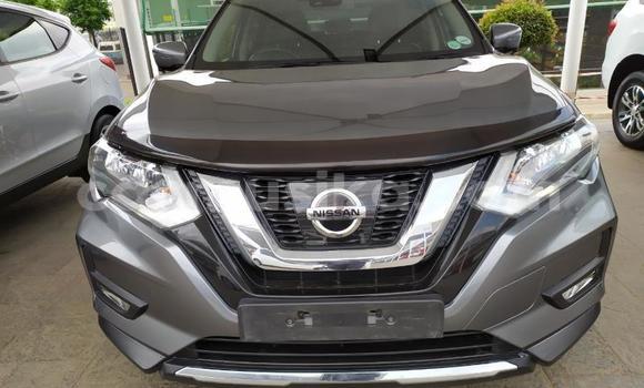 Tenga Tsaru Nissan X–Trail Sirivha Mota in Harare in Harare Tenga Tsaru Nissan X–Trail Sirivha Mota in Harare in Harare