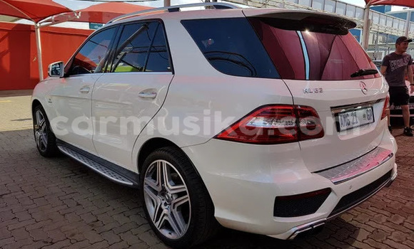 Tenga Tsaru Mercedes‒Benz AMG GLE Chena Mota in Beitbridge in Matabeleland South Tenga Tsaru Mercedes‒Benz AMG GLE Chena Mota in Beitbridge in Matabeleland South