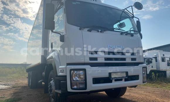 Tenga Tsaru Isuzu FTR 850 Chena Rori in Harare in Harare Tenga Tsaru Isuzu FTR 850 Chena Rori in Harare in Harare