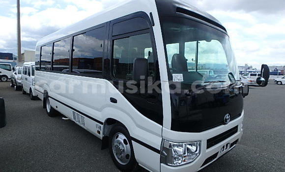 Buy Used Toyota Coaster Other Car in Beitbridge in Matabeleland South