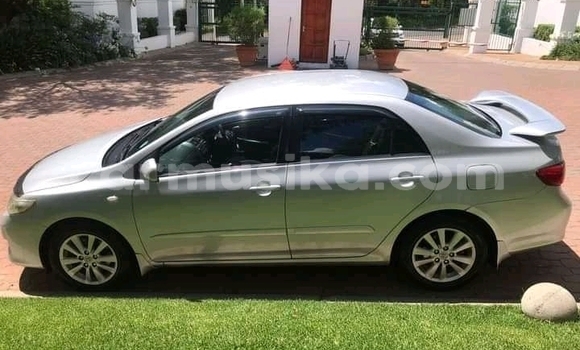 Nunua Ilio tumika Toyota Corolla Fedha Gari ndani ya Beitbridge nchini Matabeleland Kusini Nunua Ilio tumika Toyota Corolla Fedha Gari ndani ya Beitbridge nchini Matabeleland Kusini