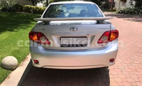 Nunua Ilio tumika Toyota Corolla Fedha Gari ndani ya Beitbridge nchini Matabeleland Kusini Nunua Ilio tumika Toyota Corolla Fedha Gari ndani ya Beitbridge nchini Matabeleland Kusini