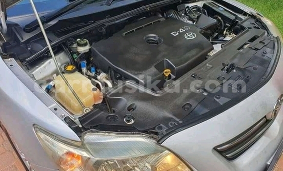 Nunua Ilio tumika Toyota Corolla Fedha Gari ndani ya Beitbridge nchini Matabeleland Kusini Nunua Ilio tumika Toyota Corolla Fedha Gari ndani ya Beitbridge nchini Matabeleland Kusini