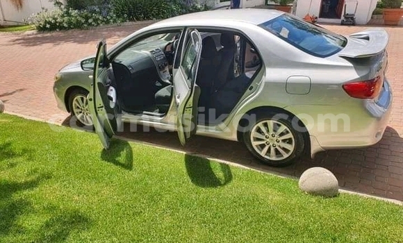 Nunua Ilio tumika Toyota Corolla Fedha Gari ndani ya Beitbridge nchini Matabeleland Kusini Nunua Ilio tumika Toyota Corolla Fedha Gari ndani ya Beitbridge nchini Matabeleland Kusini
