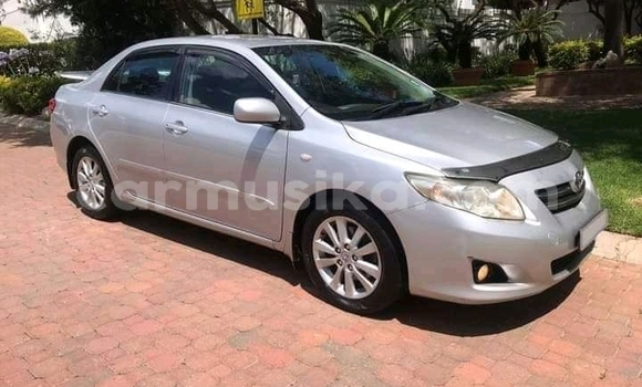 Nunua Ilio tumika Toyota Corolla Fedha Gari ndani ya Beitbridge nchini Matabeleland Kusini Nunua Ilio tumika Toyota Corolla Fedha Gari ndani ya Beitbridge nchini Matabeleland Kusini