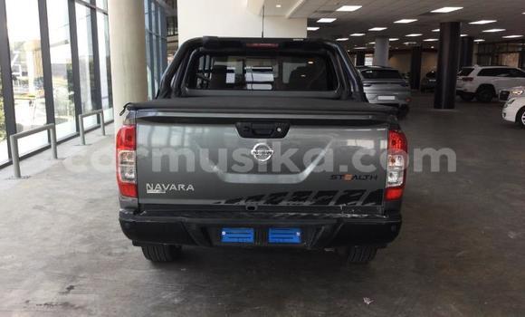 Buy Used Nissan Navara Other Car in Beitbridge in Matabeleland South Buy Used Nissan Navara Other Car in Beitbridge in Matabeleland South