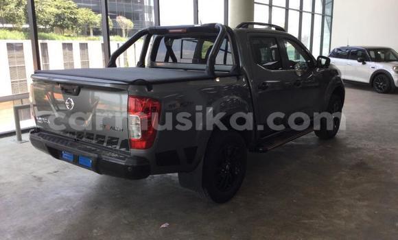 Buy Used Nissan Navara Other Car in Beitbridge in Matabeleland South Buy Used Nissan Navara Other Car in Beitbridge in Matabeleland South