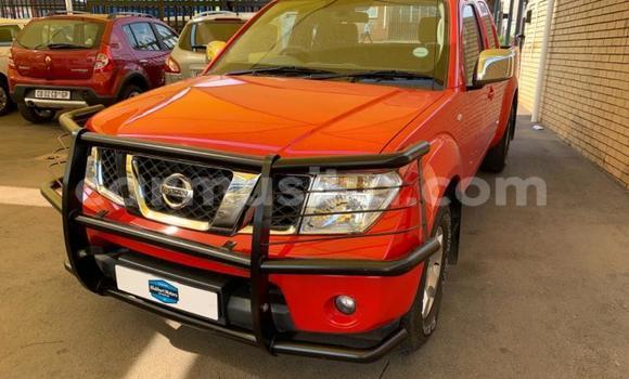 Tenga Tsaru Nissan Navara Tsvuku Mota in Beitbridge in Matabeleland South