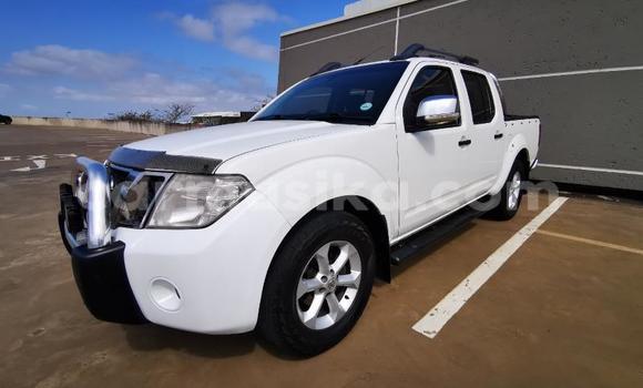 Tenga Tsaru Nissan Navara Chena Mota in Beitbridge in Matabeleland South
