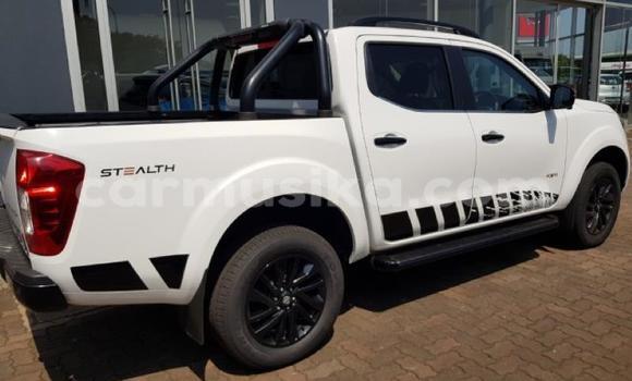 Nunua Ilio tumika Nissan Navara Nyeupe Gari ndani ya Beitbridge nchini Matabeleland Kusini Nunua Ilio tumika Nissan Navara Nyeupe Gari ndani ya Beitbridge nchini Matabeleland Kusini