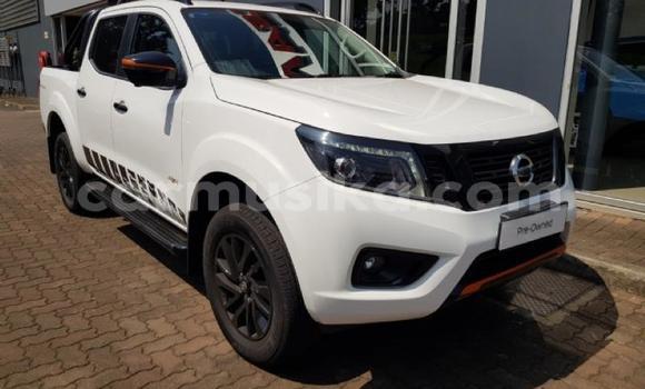 Nunua Ilio tumika Nissan Navara Nyeupe Gari ndani ya Beitbridge nchini Matabeleland Kusini Nunua Ilio tumika Nissan Navara Nyeupe Gari ndani ya Beitbridge nchini Matabeleland Kusini