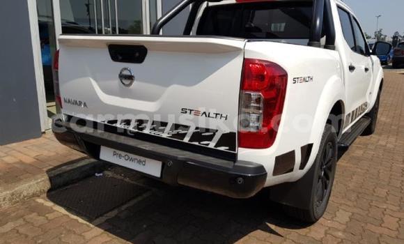 Nunua Ilio tumika Nissan Navara Nyeupe Gari ndani ya Beitbridge nchini Matabeleland Kusini Nunua Ilio tumika Nissan Navara Nyeupe Gari ndani ya Beitbridge nchini Matabeleland Kusini