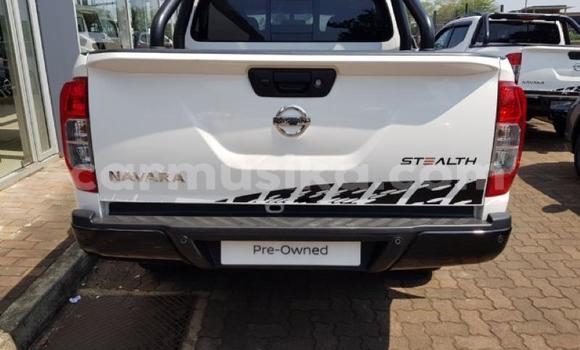Nunua Ilio tumika Nissan Navara Nyeupe Gari ndani ya Beitbridge nchini Matabeleland Kusini Nunua Ilio tumika Nissan Navara Nyeupe Gari ndani ya Beitbridge nchini Matabeleland Kusini