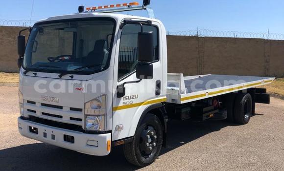 Buy Used Isuzu Elf White Truck in Beitbridge in Matabeleland South Buy Used Isuzu Elf White Truck in Beitbridge in Matabeleland South