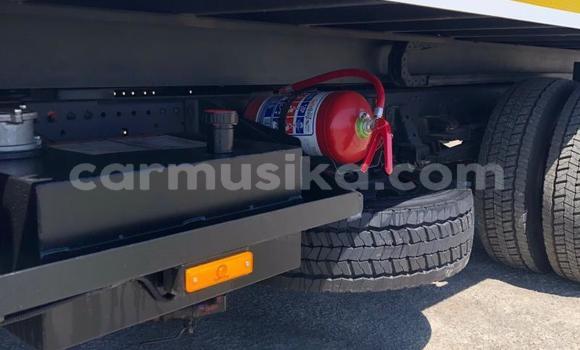 Buy Used Isuzu Elf White Truck in Beitbridge in Matabeleland South Buy Used Isuzu Elf White Truck in Beitbridge in Matabeleland South