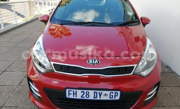 Tenga Tsaru Kia Rio Tsvuku Mota in Beitbridge in Matabeleland South