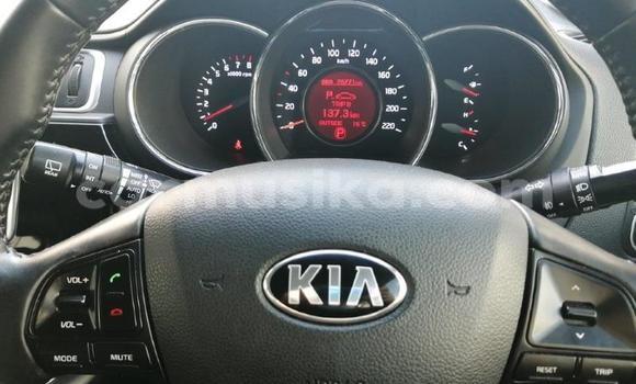 Tenga Tsaru Kia Rio Tsvuku Mota in Beitbridge in Matabeleland South Tenga Tsaru Kia Rio Tsvuku Mota in Beitbridge in Matabeleland South