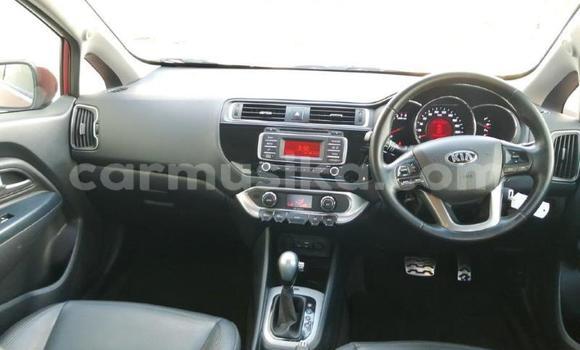 Tenga Tsaru Kia Rio Tsvuku Mota in Beitbridge in Matabeleland South Tenga Tsaru Kia Rio Tsvuku Mota in Beitbridge in Matabeleland South