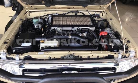 Tenga Tsaru Toyota Land Cruiser Zvimwe Mota in Beitbridge in Matabeleland South Tenga Tsaru Toyota Land Cruiser Zvimwe Mota in Beitbridge in Matabeleland South