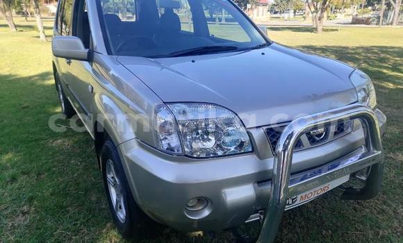Buy Used Nissan X–Trail Silver Car in Beitbridge in Matabeleland South Buy Used Nissan X–Trail Silver Car in Beitbridge in Matabeleland South