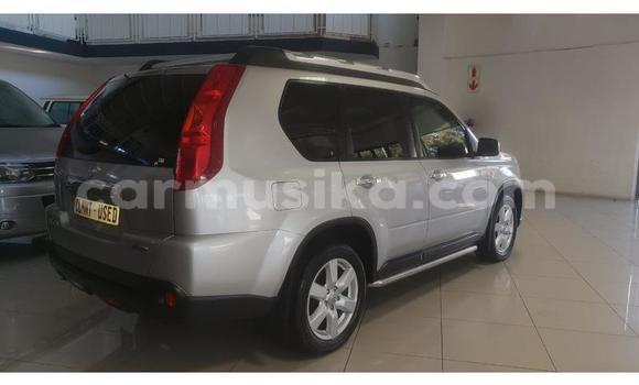 Tenga Tsaru Nissan X–Trail Sirivha Mota in Beitbridge in Matabeleland South