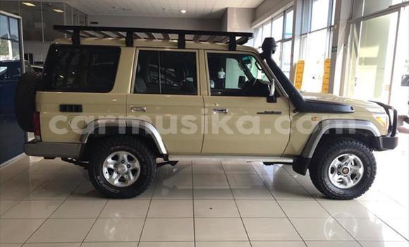 Tenga Tsaru Toyota Land Cruiser Zvimwe Mota in Beitbridge in Matabeleland South Tenga Tsaru Toyota Land Cruiser Zvimwe Mota in Beitbridge in Matabeleland South