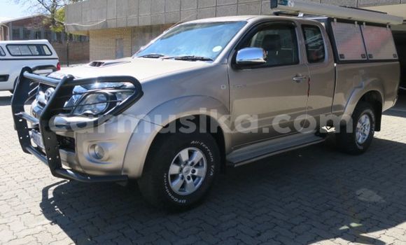 Nunua Ilio tumika Toyota Hilux Fedha Gari ndani ya Beitbridge nchini Matabeleland Kusini Nunua Ilio tumika Toyota Hilux Fedha Gari ndani ya Beitbridge nchini Matabeleland Kusini