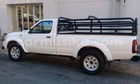 Tenga Tsaru Nissan NP 300 Chena Mota in Beitbridge in Matabeleland South