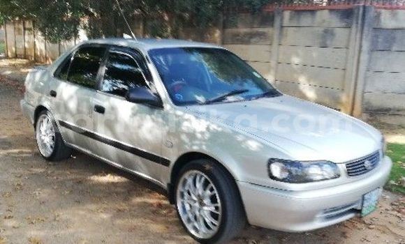 Nunua Ilio tumika Toyota Corolla Fedha Gari ndani ya Beitbridge nchini Matabeleland Kusini Nunua Ilio tumika Toyota Corolla Fedha Gari ndani ya Beitbridge nchini Matabeleland Kusini