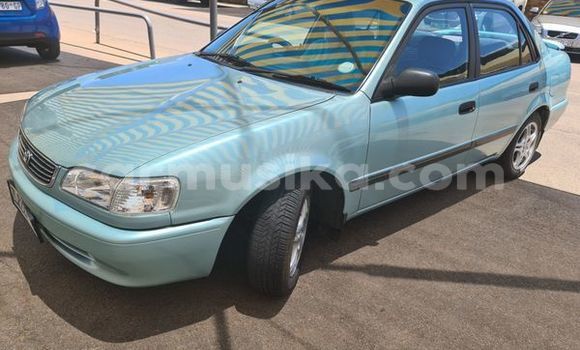 Buy Used Toyota Corolla Blue Car in Beitbridge in Matabeleland South