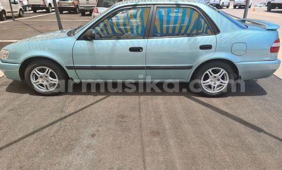 Nunua Ilio tumika Toyota Corolla Bluu Gari ndani ya Beitbridge nchini Matabeleland Kusini Nunua Ilio tumika Toyota Corolla Bluu Gari ndani ya Beitbridge nchini Matabeleland Kusini