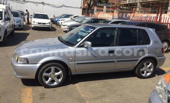 Tenga Tsaru Toyota Tacoma Sirivha Mota in Beitbridge in Matabeleland South Tenga Tsaru Toyota Tacoma Sirivha Mota in Beitbridge in Matabeleland South