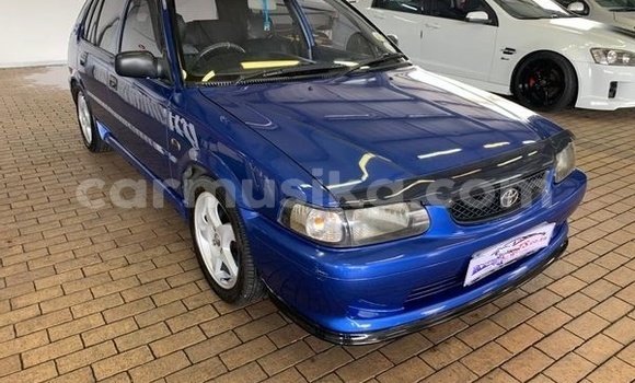 Tenga Tsaru Toyota Tacoma Bhuruu Mota in Beitbridge in Matabeleland South Tenga Tsaru Toyota Tacoma Bhuruu Mota in Beitbridge in Matabeleland South