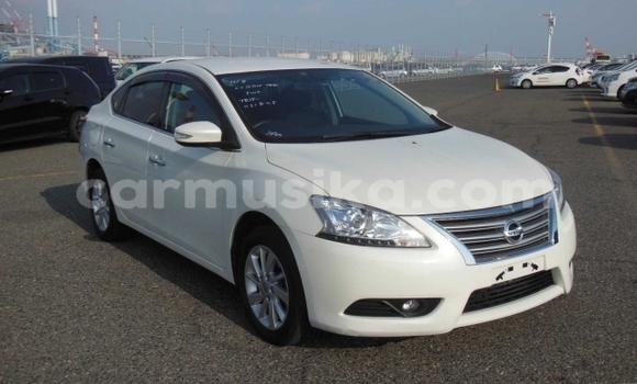Buy Used Nissan Bluebird Sylphy White Car in Beitbridge in Matabeleland South