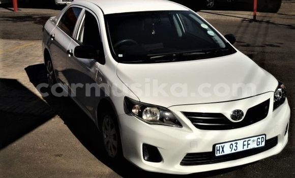 Nunua Ilio tumika Toyota Corolla Nyeupe Gari ndani ya Beitbridge nchini Matabeleland Kusini