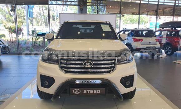 Buy Used Haval H2 White Car in Beitbridge in Matabeleland South