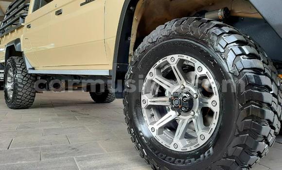 Tenga Tsaru Toyota Land Cruiser Zvimwe Mota in Beitbridge in Matabeleland South Tenga Tsaru Toyota Land Cruiser Zvimwe Mota in Beitbridge in Matabeleland South