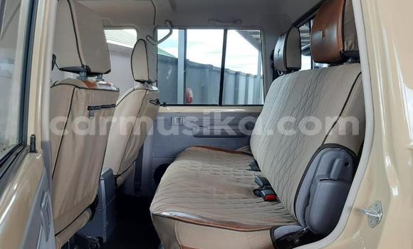 Tenga Tsaru Toyota Land Cruiser Zvimwe Mota in Beitbridge in Matabeleland South Tenga Tsaru Toyota Land Cruiser Zvimwe Mota in Beitbridge in Matabeleland South