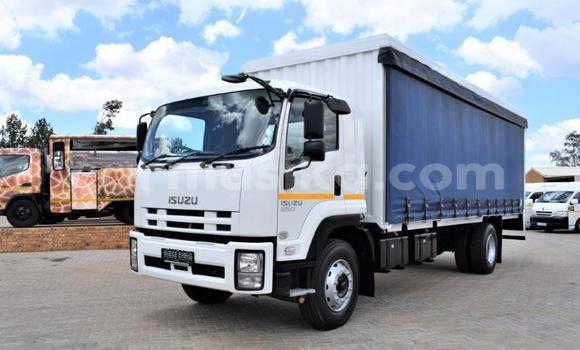 Tenga Tsaru Isuzu Trooper Chena Mota in Beitbridge in Matabeleland South