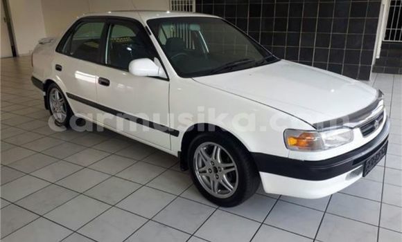 Tenga Tsaru Toyota Corolla Chena Mota in Beitbridge in Matabeleland South Tenga Tsaru Toyota Corolla Chena Mota in Beitbridge in Matabeleland South
