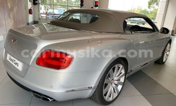 Buy Used Bentley Continental Silver Car in Beitbridge in Matabeleland South Buy Used Bentley Continental Silver Car in Beitbridge in Matabeleland South