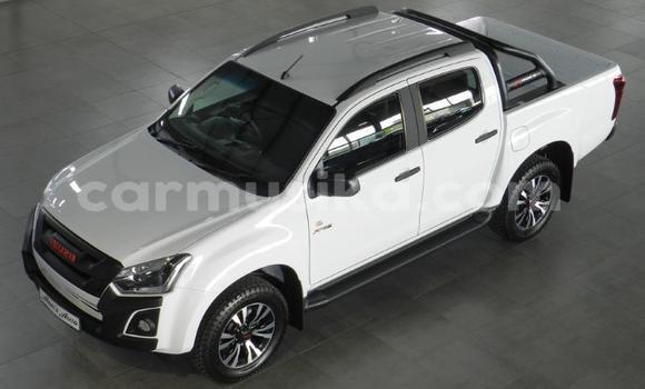 Buy Used Isuzu KB White Car in Beitbridge in Matabeleland South Buy Used Isuzu KB White Car in Beitbridge in Matabeleland South