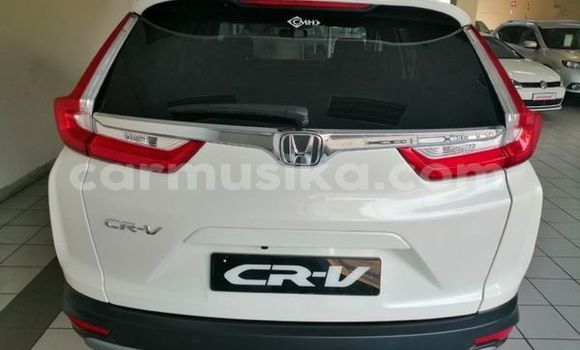 Tenga Tsaru Honda CR–V Chena Mota in Beitbridge in Matabeleland South Tenga Tsaru Honda CR–V Chena Mota in Beitbridge in Matabeleland South