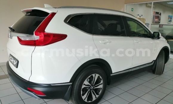 Tenga Tsaru Honda CR–V Chena Mota in Beitbridge in Matabeleland South Tenga Tsaru Honda CR–V Chena Mota in Beitbridge in Matabeleland South
