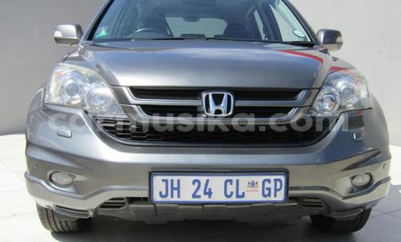 Buy Used Honda CR–V Other Car in Beitbridge in Matabeleland South