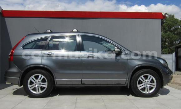 Acheter Occasion Voiture Honda CR–V Autre à Beitbridge, Matabeleland South Acheter Occasion Voiture Honda CR–V Autre à Beitbridge, Matabeleland South