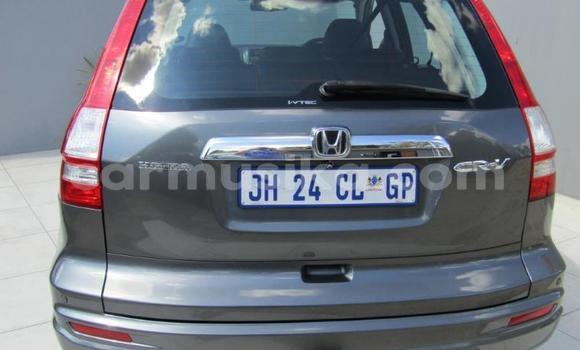 Acheter Occasion Voiture Honda CR–V Autre à Beitbridge, Matabeleland South Acheter Occasion Voiture Honda CR–V Autre à Beitbridge, Matabeleland South