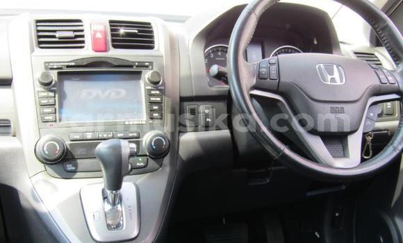 Acheter Occasion Voiture Honda CR–V Autre à Beitbridge, Matabeleland South Acheter Occasion Voiture Honda CR–V Autre à Beitbridge, Matabeleland South